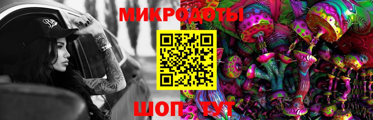 где купить наркоту  Вход с VPN  Клинцы  Псилоцибиновые грибы Psilocybine cubensis 